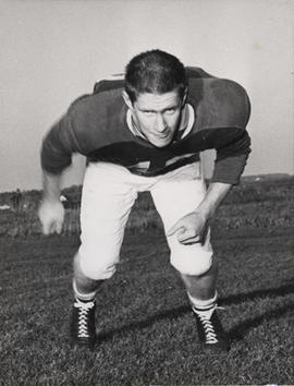 James Stapleton fonds